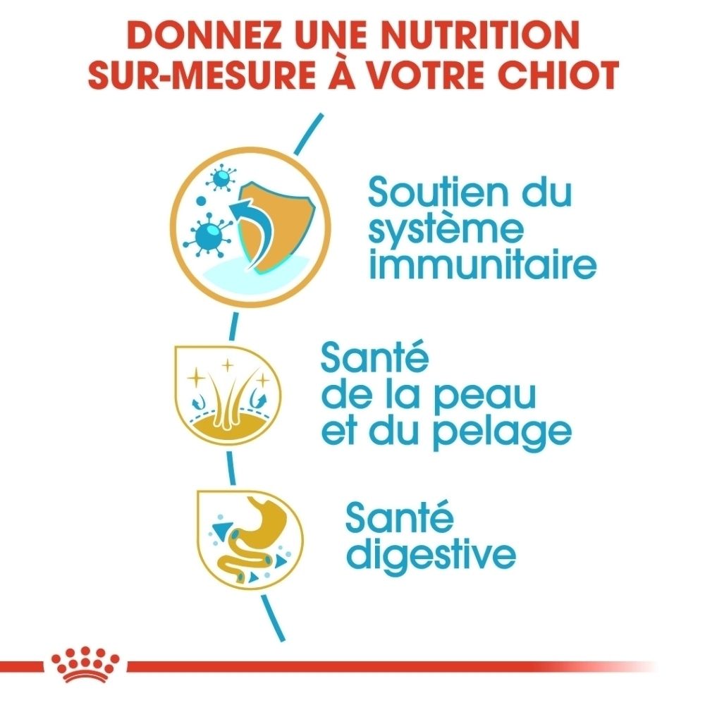 Nutrition Royal Canin Shih Tzu Puppy: soutien immunitaire, peau et digestion.