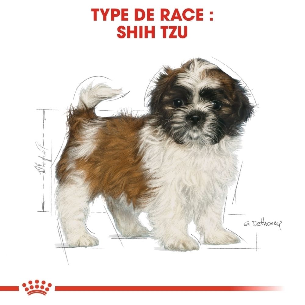 Illustration d'un chiot Shih Tzu pour la nourriture Royal Canin.