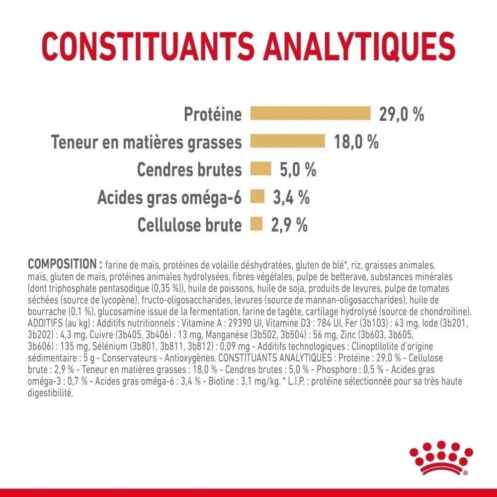 Nourriture Royal Canin Yorkshire Terrier 8+, sac 1kg avec chien.