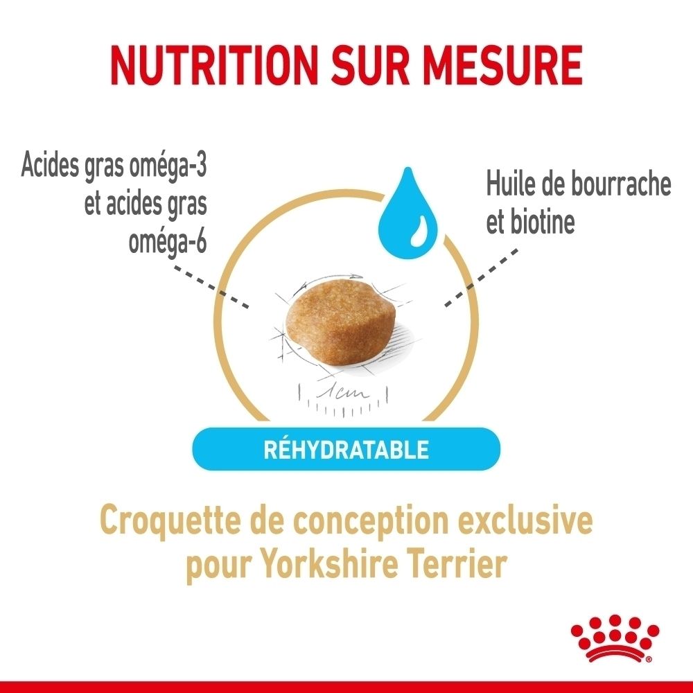 Nourriture Royal Canin Yorkshire Terrier 8+, peau et pelage sains.