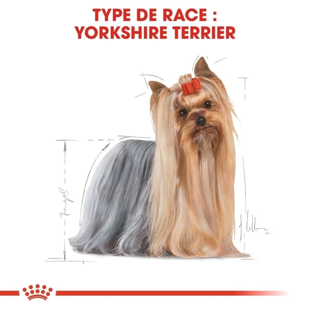 Sachet Royal Canin Yorkshire Terrier avec image de Yorkshire Terrier et de pâté.