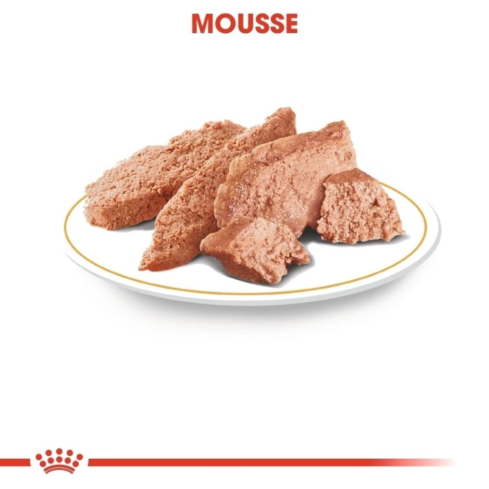 Sachet Royal Canin Yorkshire Terrier avec image de Yorkshire Terrier et de pâté.