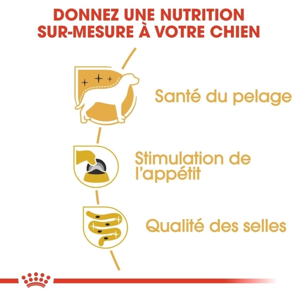 Sachet Royal Canin Yorkshire Terrier avec image de Yorkshire Terrier et de pâté.