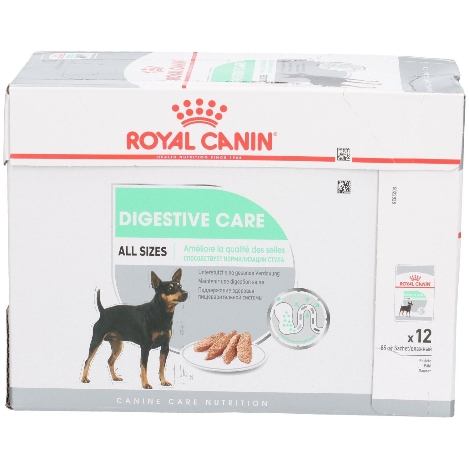 Boîte Royal Canin Digestive Care, vue de face avec chien et nom du produit.