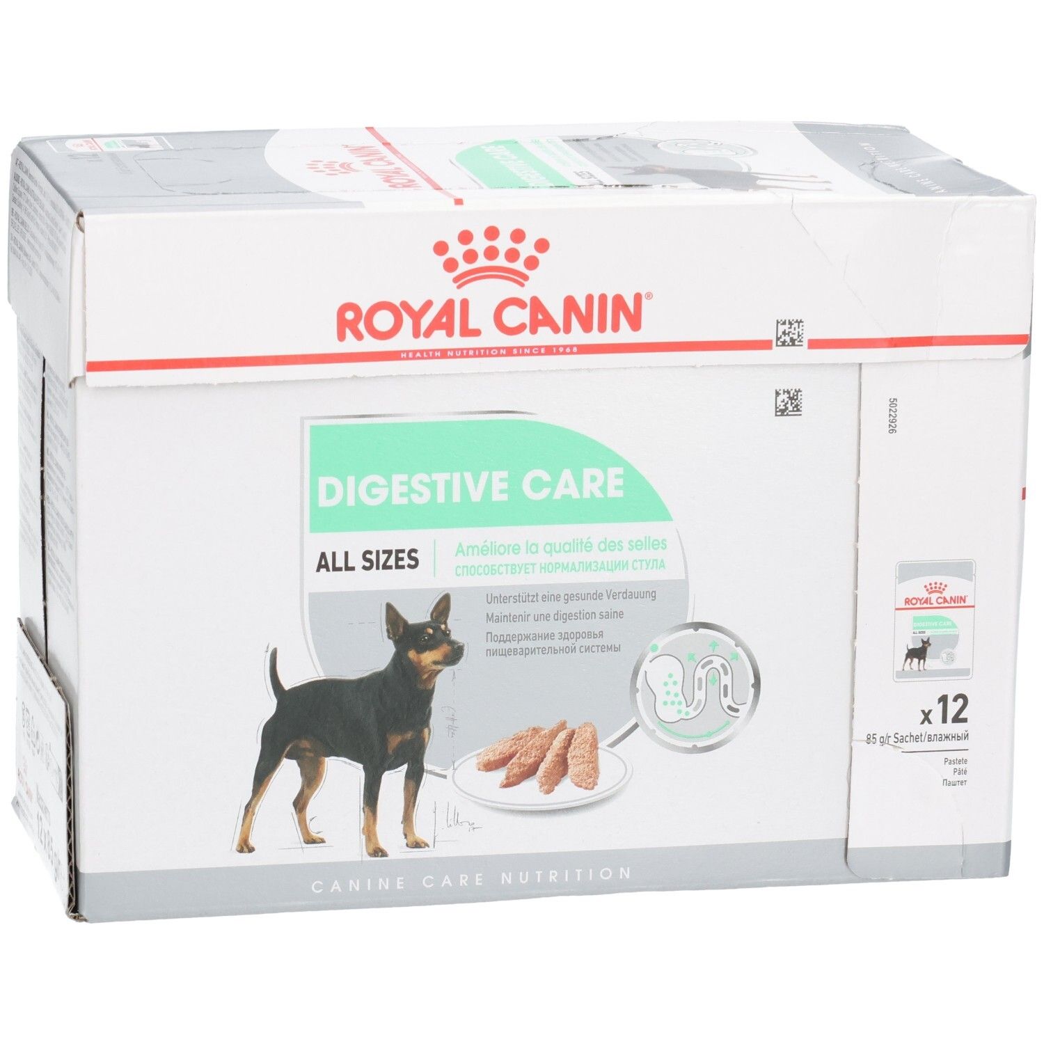 Boîte Royal Canin Digestive Care, vue de face en biais avec chien et nom du produit.