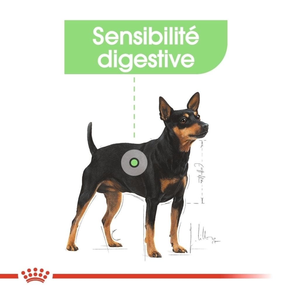 Royal Canin Digestive Care : chien avec marque sur le ventre. Montre un symbole digestif et du texte.