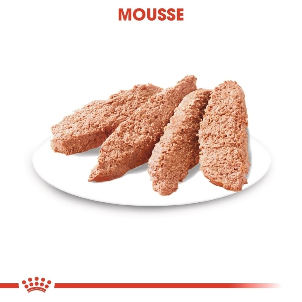 Royal Canin Digestive Care : quatre pâtés sur une assiette. Texte : 'MOUSSE'.