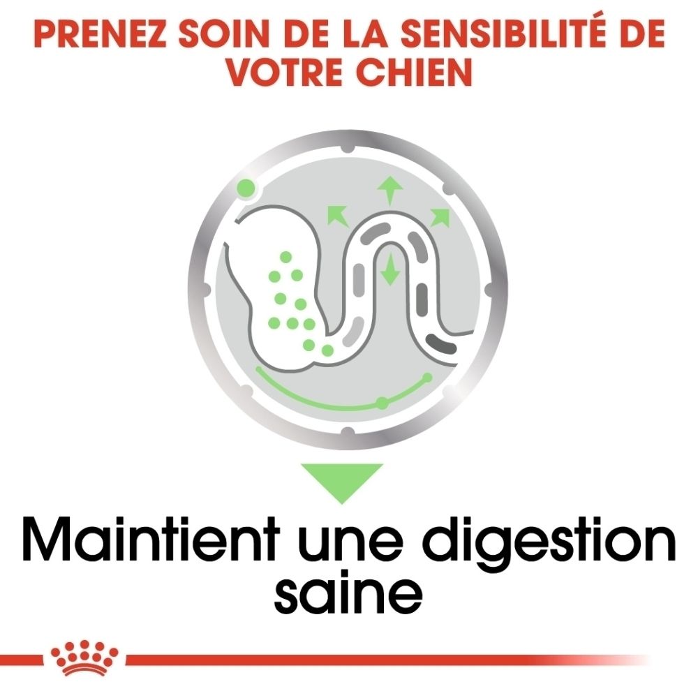 Royal Canin Digestive Care : symbole digestif avec flèches. Texte : 'Maintient une digestion saine'.