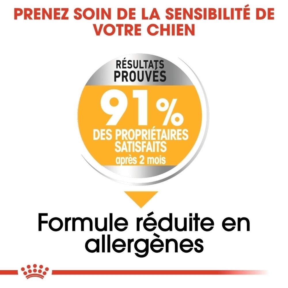 Trois croquettes Royal Canin Maxi Dermacomfort sur fond blanc avec croquis.