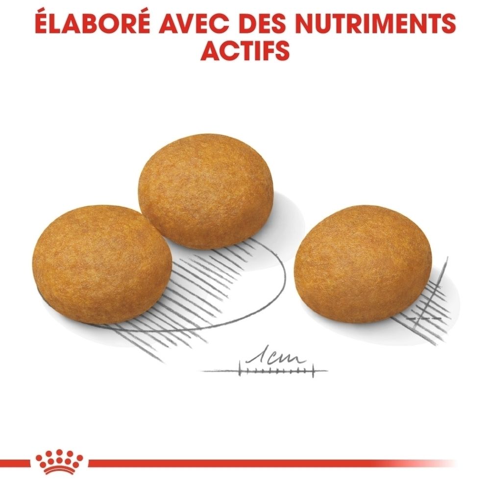 Emballages de nourriture sèche et humide Royal Canin Maxi Dermacomfort côte à côte.