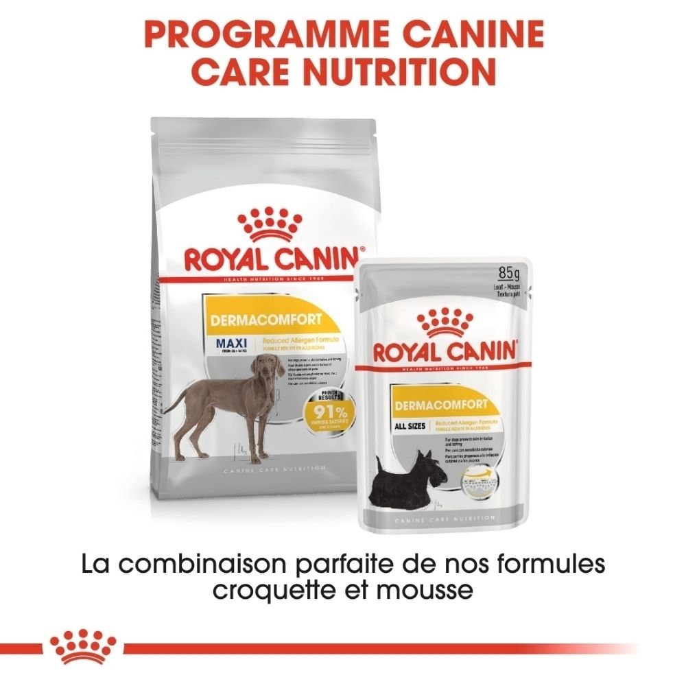 Tableau d'alimentation pour nourriture pour chien Royal Canin Maxi Dermacomfort par poids et activité.