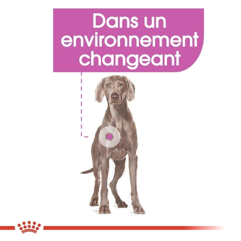 Sac Royal Canin 'RELAX CARE MAXI' avec texte 'Résultats prouvés +44%'.