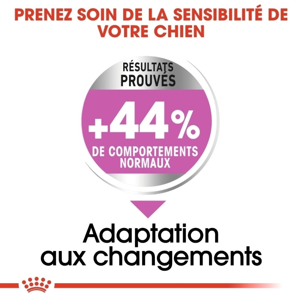 Croquettes pour chien Royal Canin, gros plan.