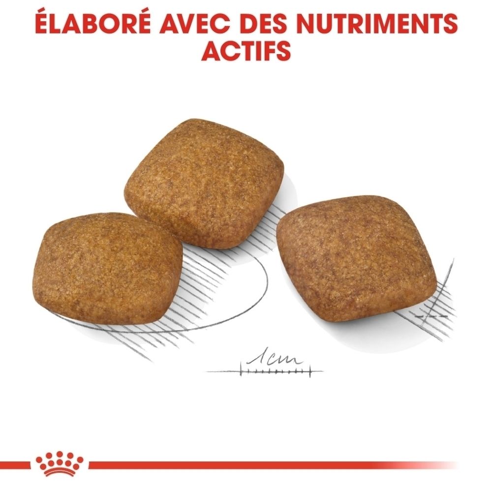 Sac et bol de nourriture pour chien Royal Canin 'RELAX CARE MAXI'.