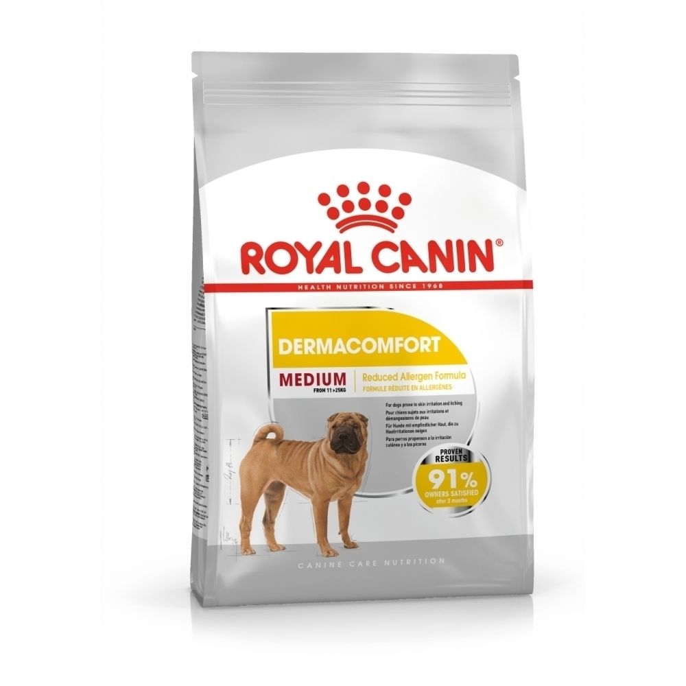 Illustration d'un chien mettant en évidence les irritations et démangeaisons cutanées.