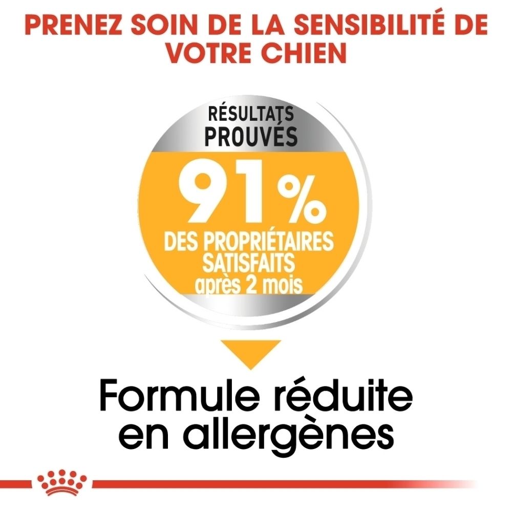 Gros plan sur trois croquettes pour chien formulées avec des nutriments actifs.