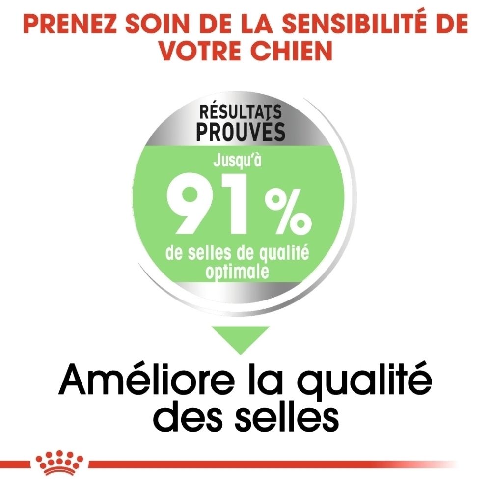 Gros plan sur trois croquettes pour chiens, textes français.
