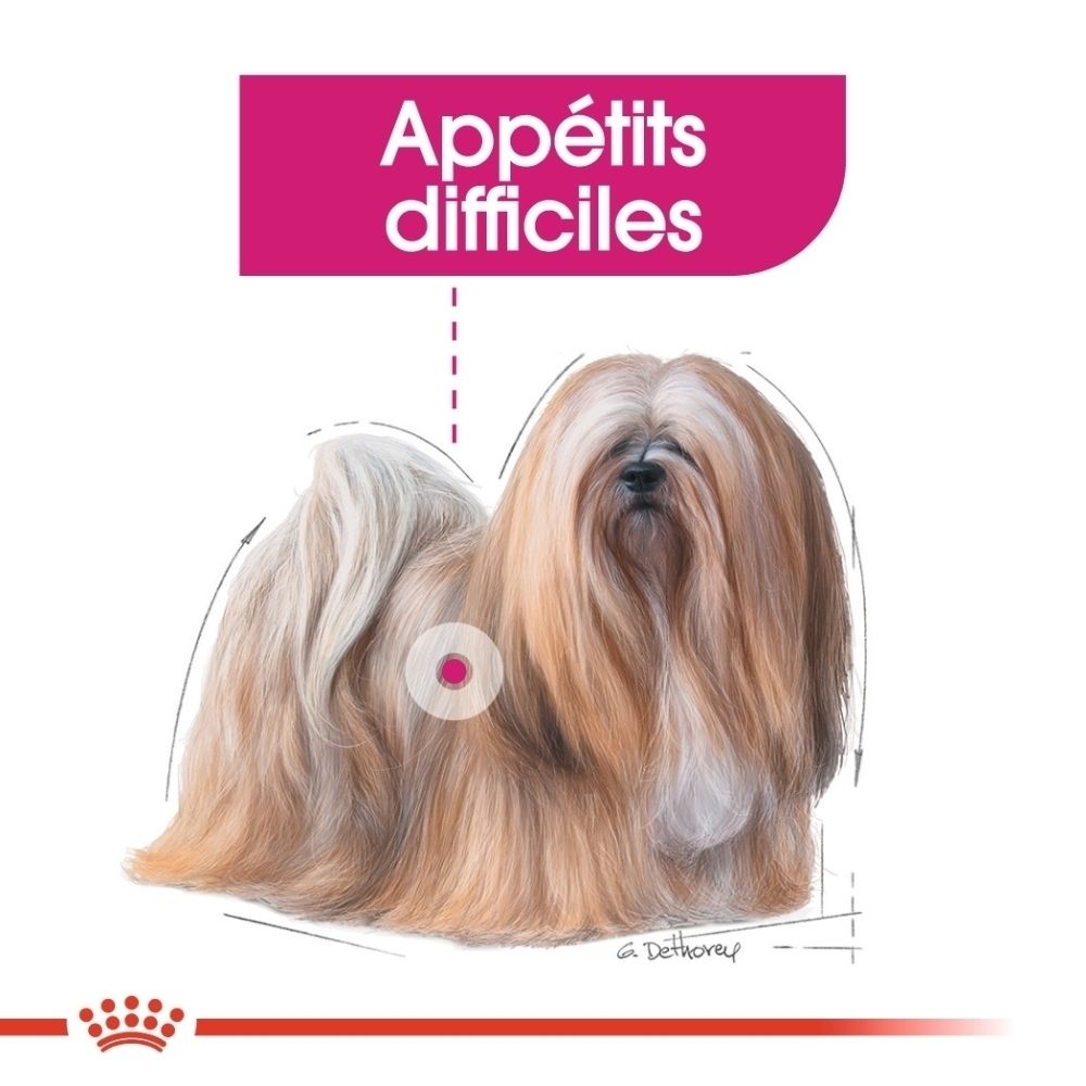 Illustration d'un chien avec l'inscription 'Appétits difficiles' sur un produit Royal Canin.