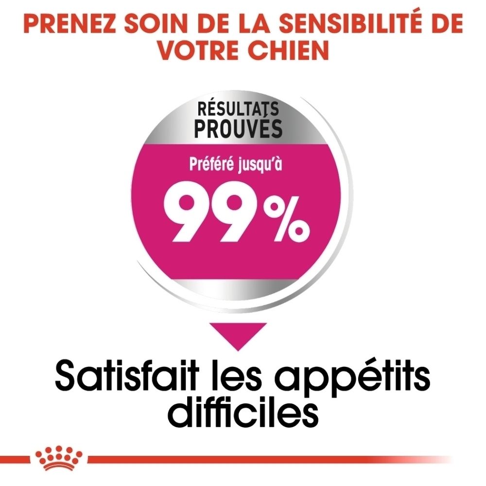 Sac de croquettes Royal Canin Exigent Mini. Montre un chien et l'inscription 'Satisfait les appétits difficiles'.