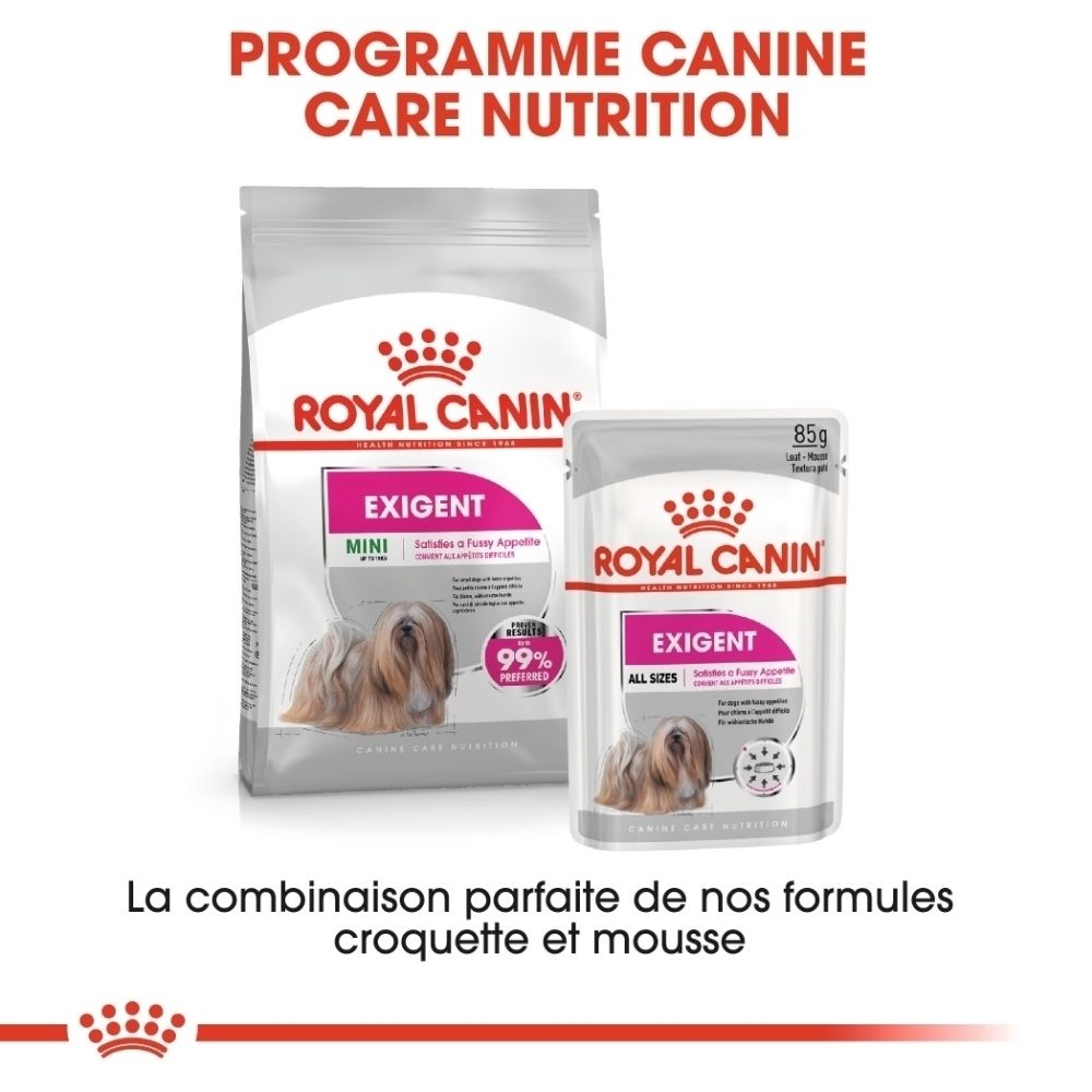 Sac de croquettes Royal Canin Exigent Mini et barquette. Montre la combinaison de croquettes et de mousse.