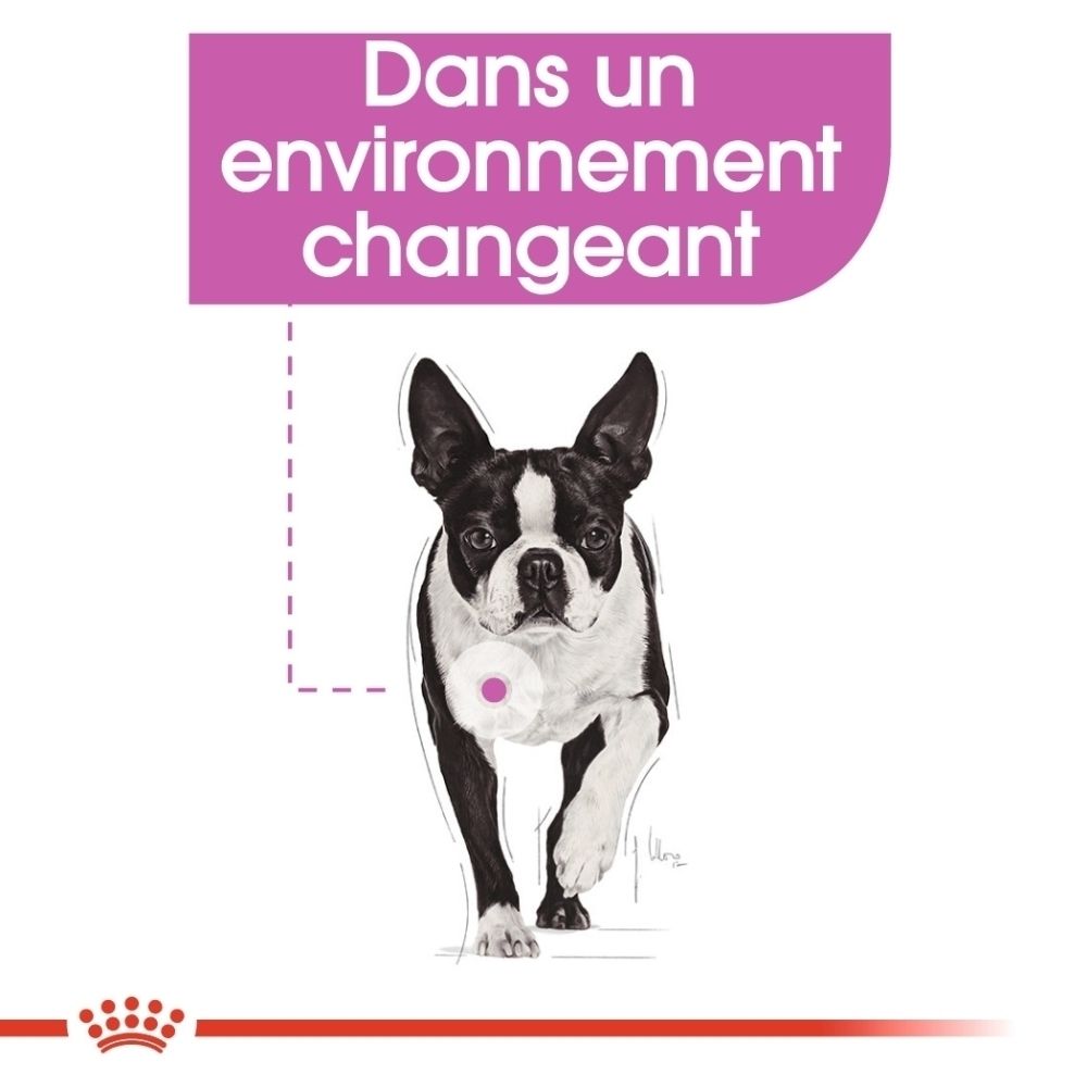 Sac de croquettes Royal Canin Relax Care Mini pour chien, avec illustration de Boston Terrier et texte 'Adaptation aux changements'.
