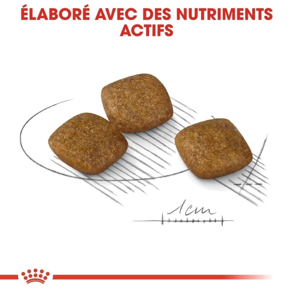 Royal Canin Relax Care : 'Résultats prouvés : +44% de comportements normaux'.