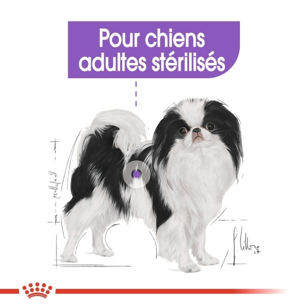 Illustration d'un chien noir et blanc avec des schémas de mesure. Texte : Pour chiens adultes stérilisés.