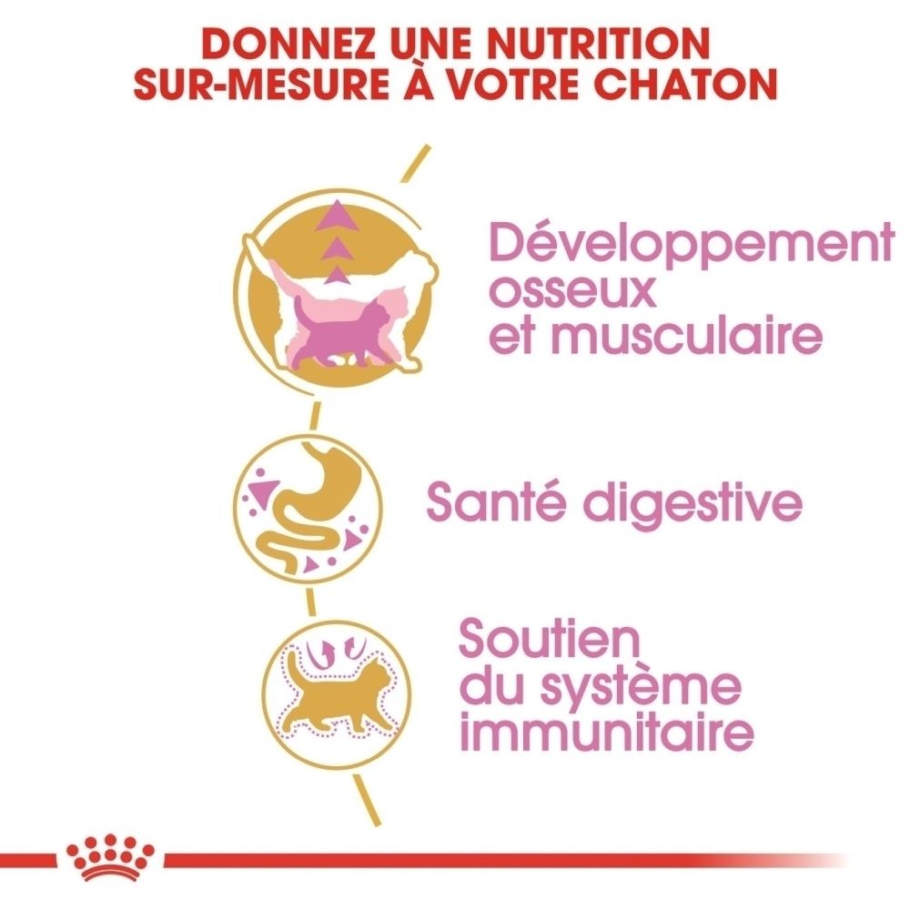 Infographie avec trois icônes : chat pour le développement osseux et musculaire, estomac pour la santé digestive, chat pour le soutien immunitaire.