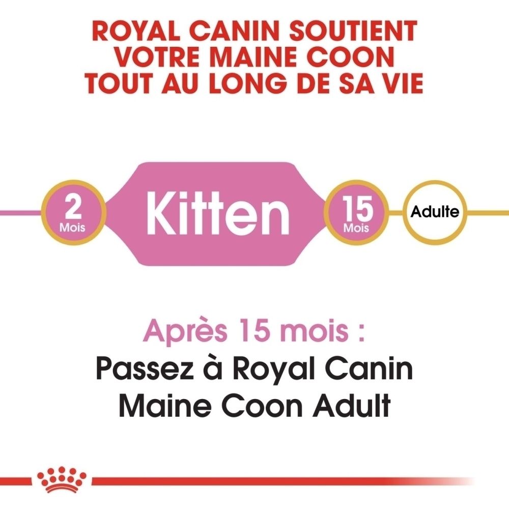 Royal Canin : Du stade Kitten (2 mois) au stade Adulte (15 mois) pour Maine Coon.