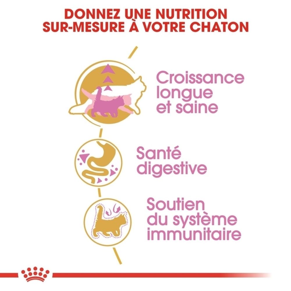 Infographie avec trois icônes : chat pour la croissance, estomac pour la digestion, chat pour le système immunitaire. Texte : "Croissance longue et saine", "Santé digestive", "Soutien du système immunitaire".