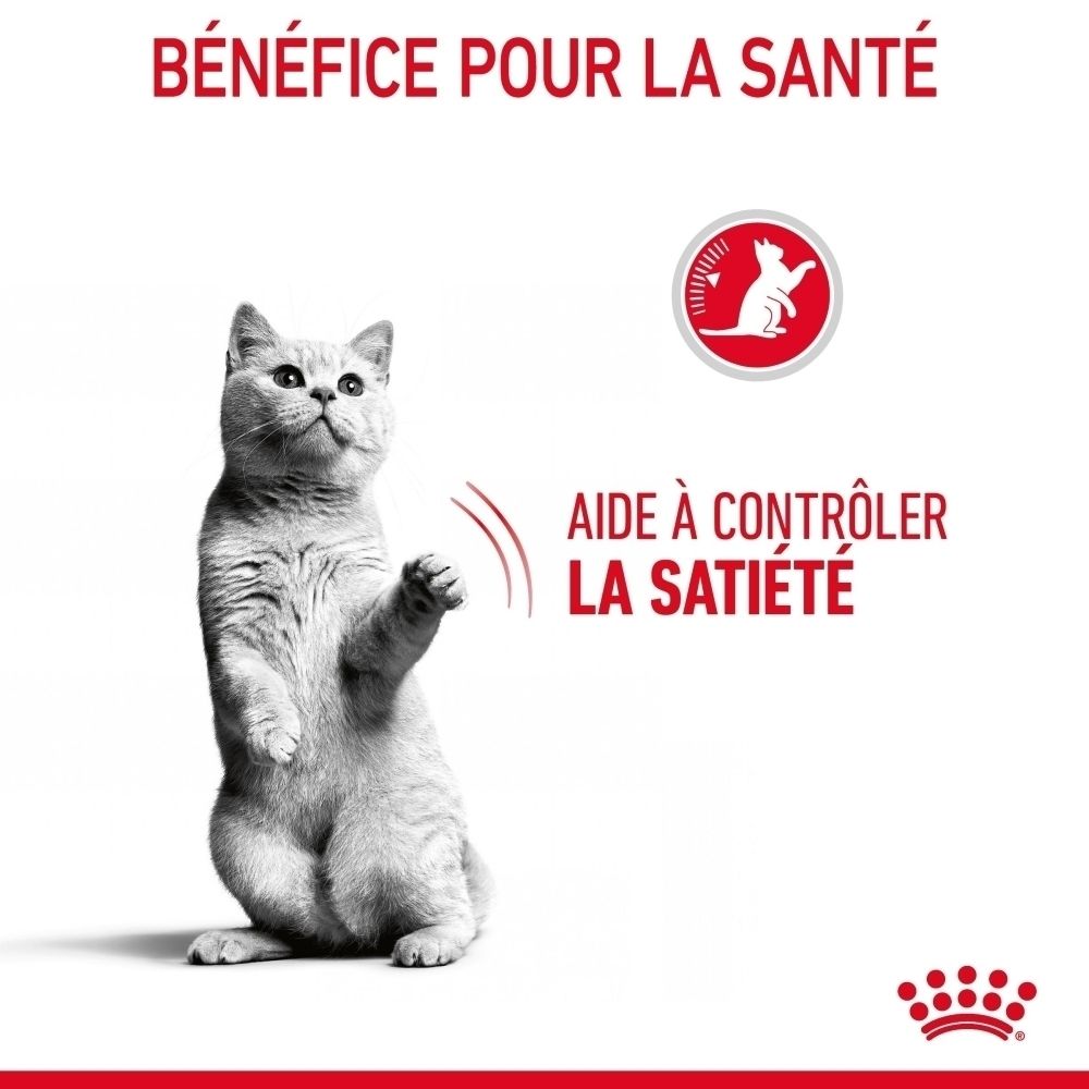 Un chat se tient debout. Le texte indique : "Aide à contrôler la satiété".