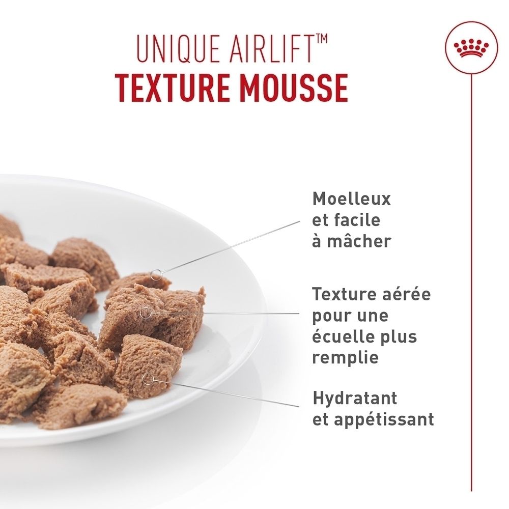 Petits morceaux de nourriture bruns en forme de cube sur une assiette blanche avec des légendes textuelles.