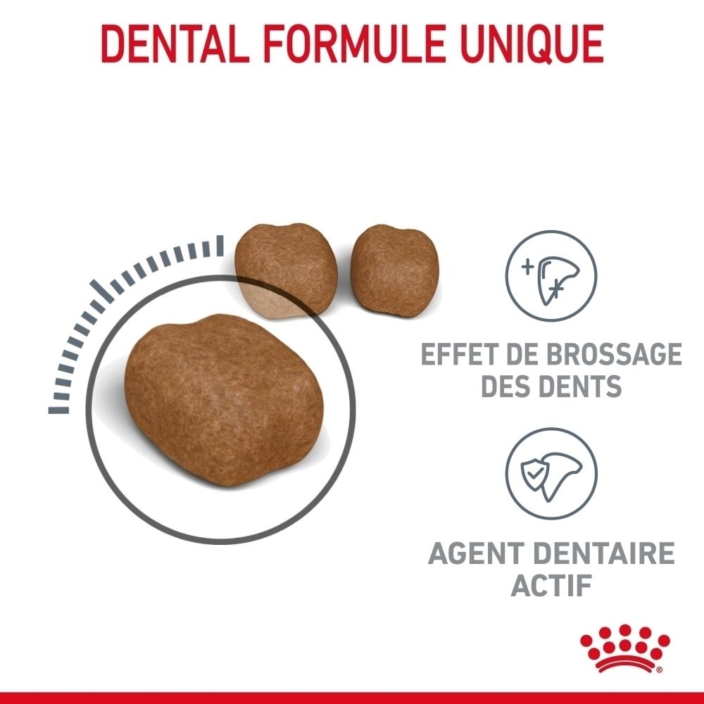 Croquettes Royal Canin FCN DENTAL CARE : Effet brossage dents, capteurs de tartre.