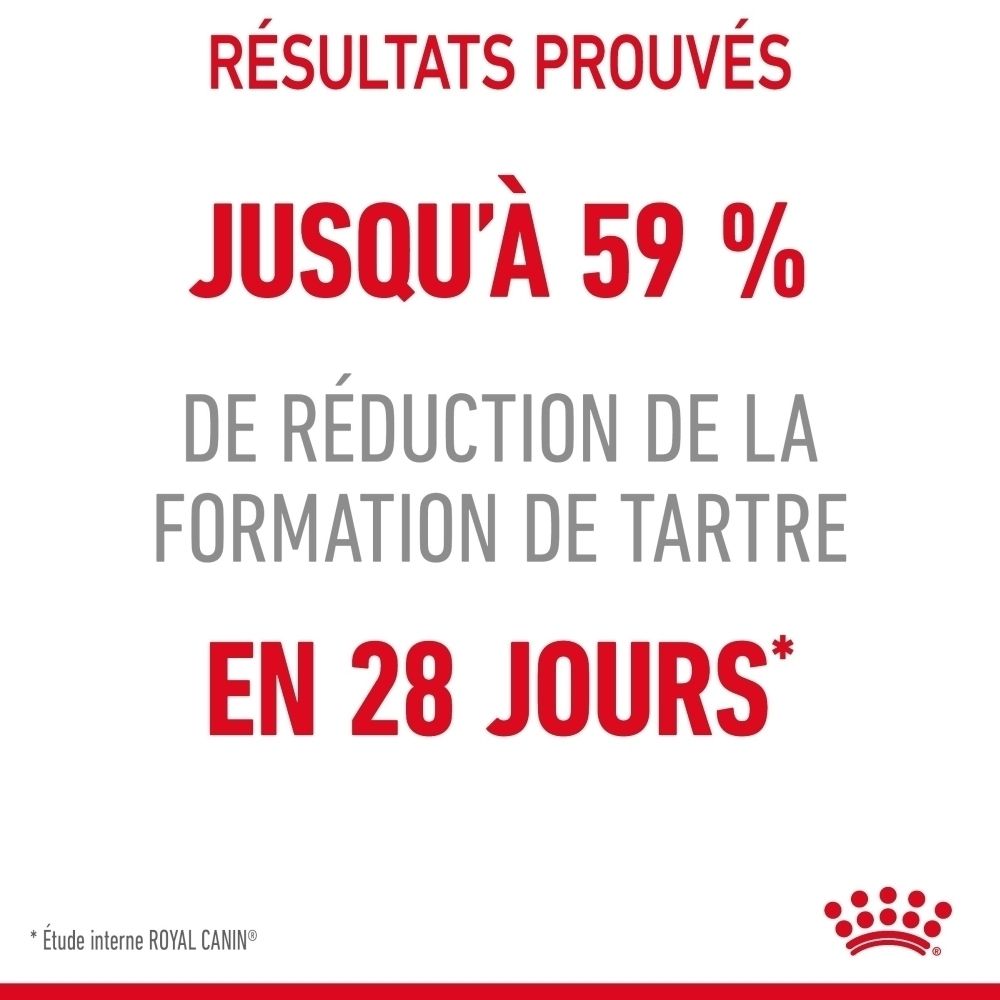 Royal Canin FCN DENTAL CARE : Jusqu'à 59% de réduction de tartre en 28 jours.