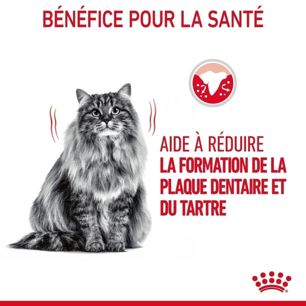 Royal Canin FCN DENTAL CARE : Aide à réduire la plaque dentaire et le tartre.