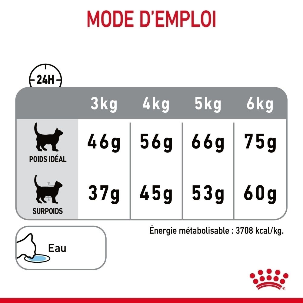 Royal Canin FCN DENTAL CARE : Recommandations d'alimentation pour chats.