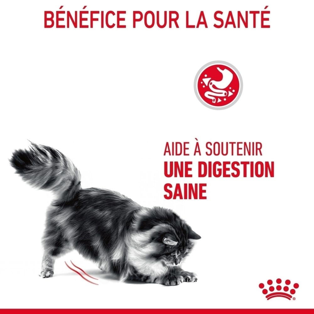 Chat avec icône de digestion saine. Texte : « Bénéfice pour la santé ».