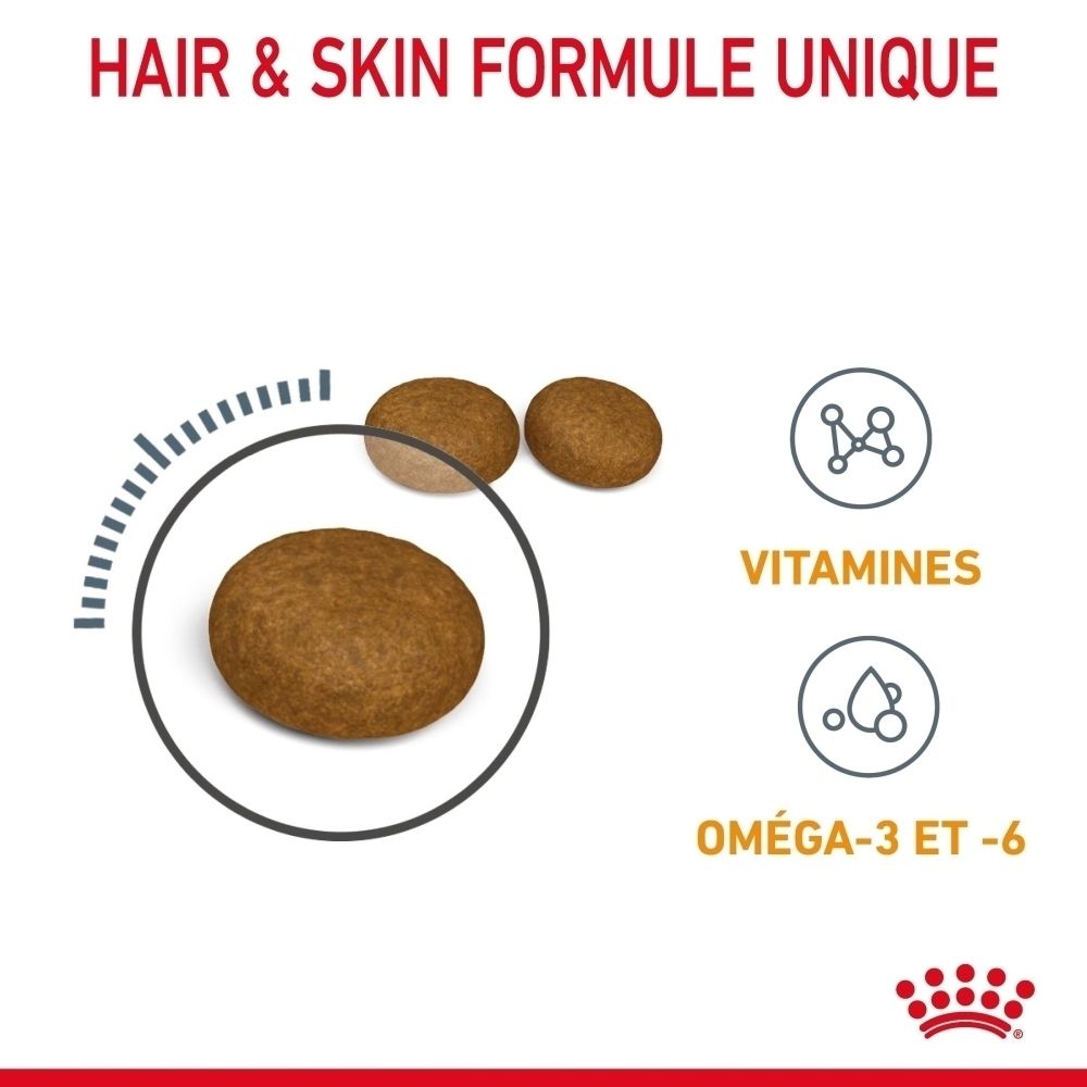 Trois croquettes rondes et brunes, dont une dans un cercle avec un arc de mesure. Icônes pour vitamines et oméga-3/6 à côté.