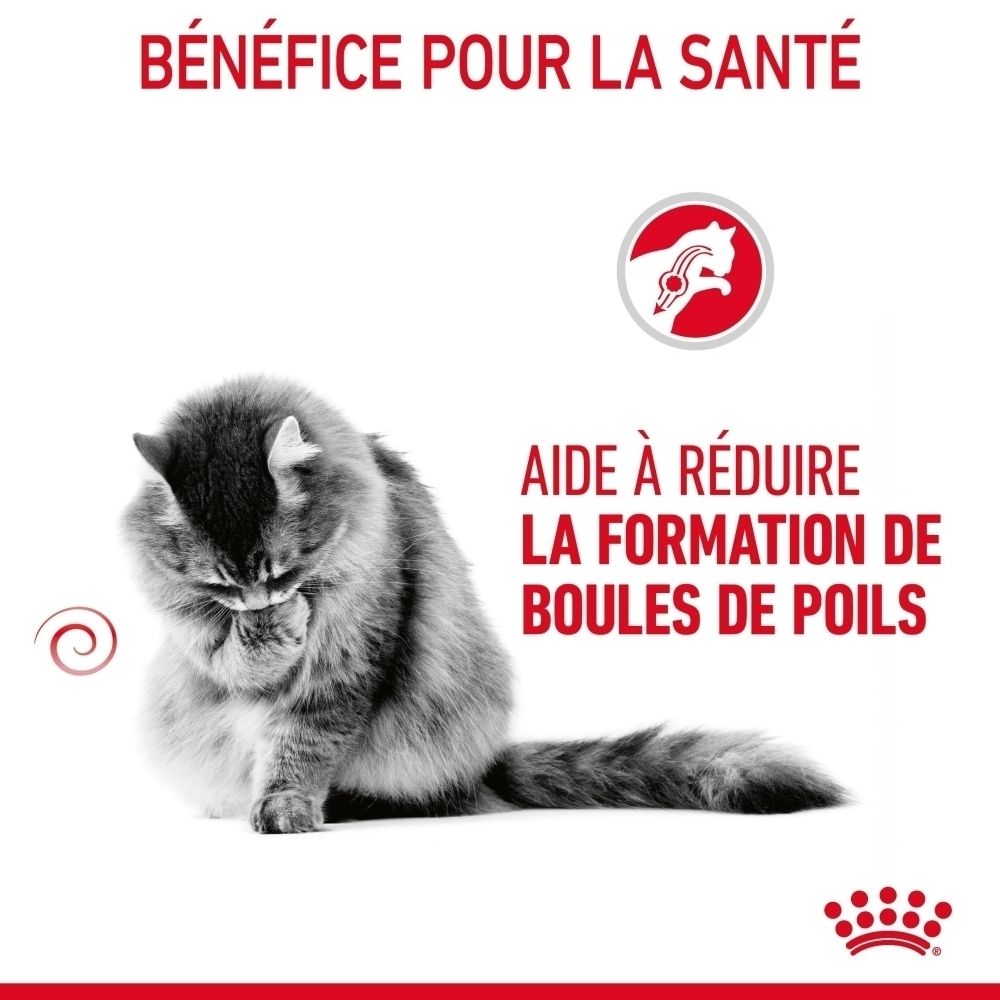 Royal Canin Hairball : Réduit la formation de boules de poils en 14 jours. Résultats prouvés.