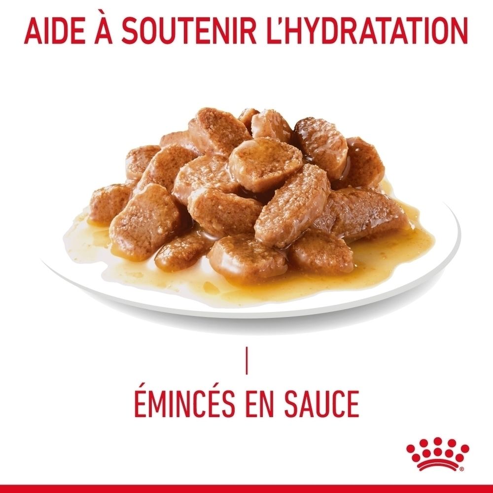 Nourriture pour chien : émincés en sauce sur une assiette.
