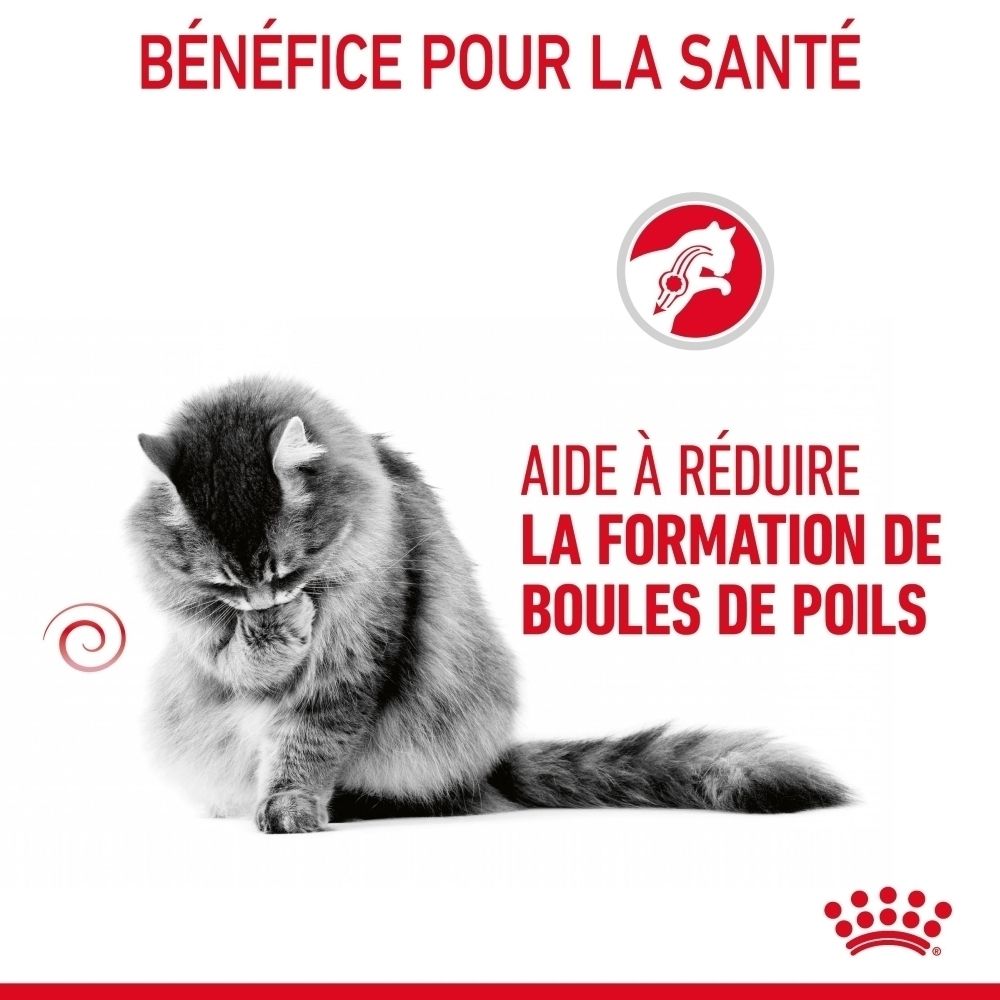 Chat gris avec symbole de boule de poils. Texte : Aide à réduire la formation de boules de poils.