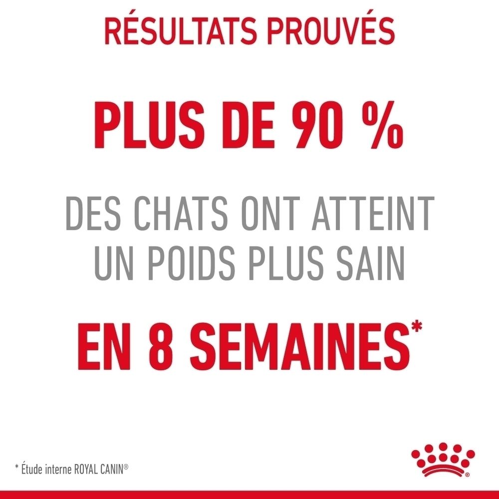 Plus de 90% des chats ont atteint un poids plus sain en 8 semaines.