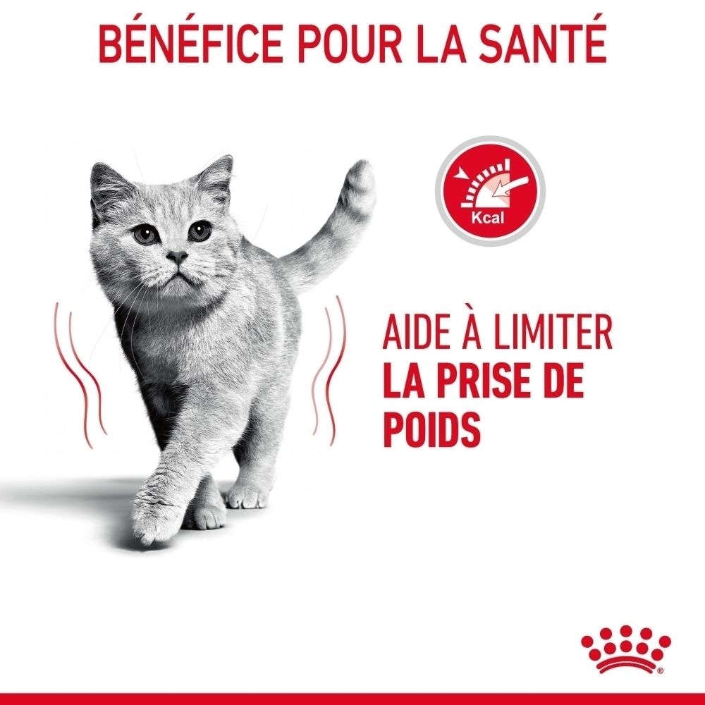 Chat gris avec un cercle rouge indiquant les calories. Texte : Aide à limiter la prise de poids.
