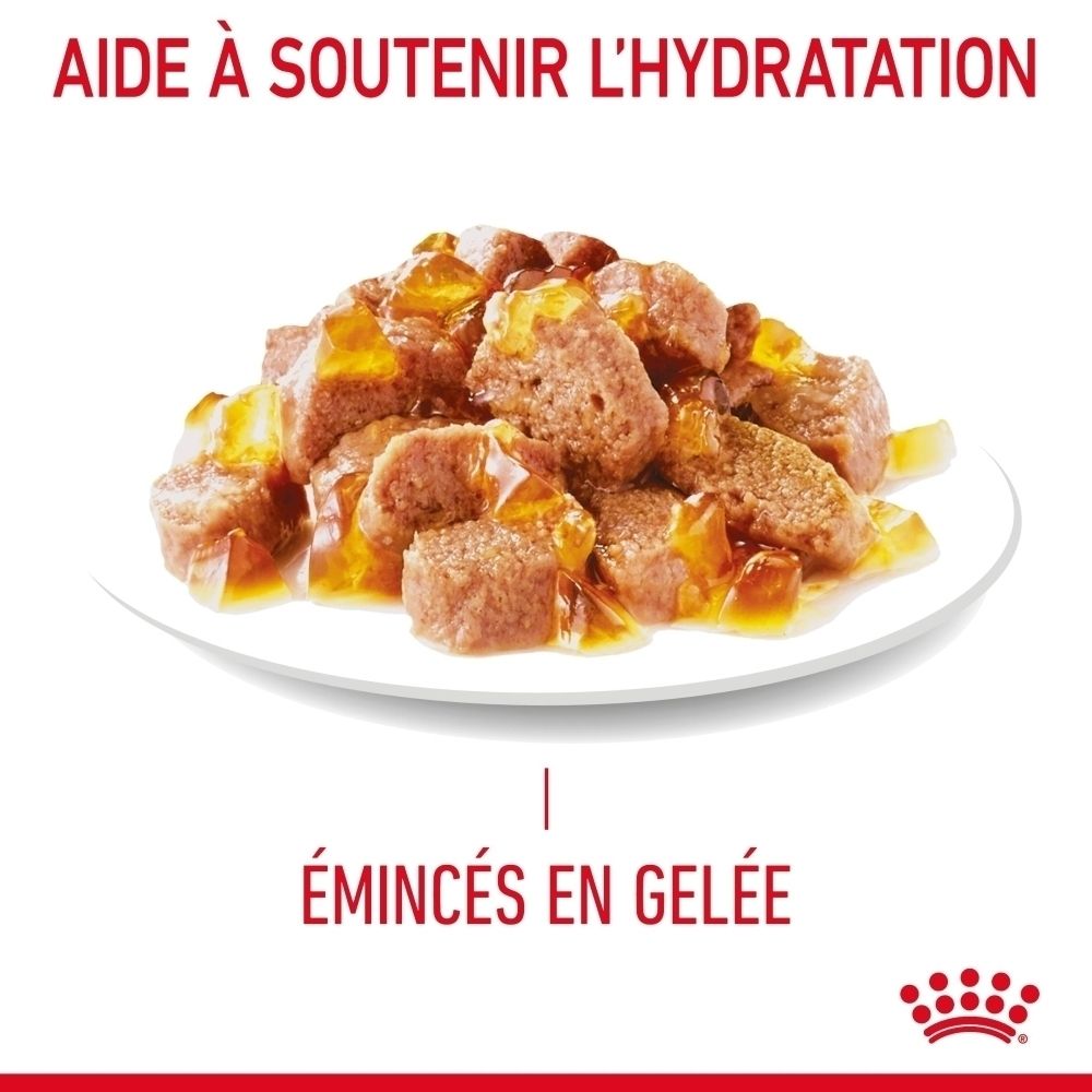 Émincés de viande en gelée sur une assiette.
