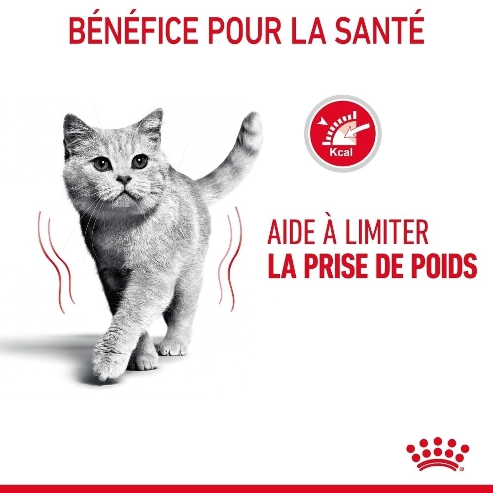 Chat gris avec cercle rouge et symbole Kcal. Texte : Aide à limiter la prise de poids.