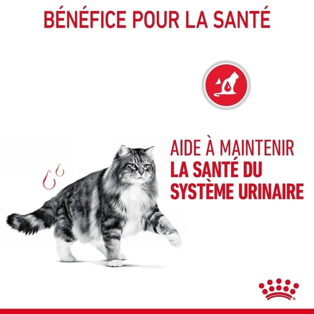 Royal Canin Urinary Care : Résultats prouvés pour la santé urinaire.
