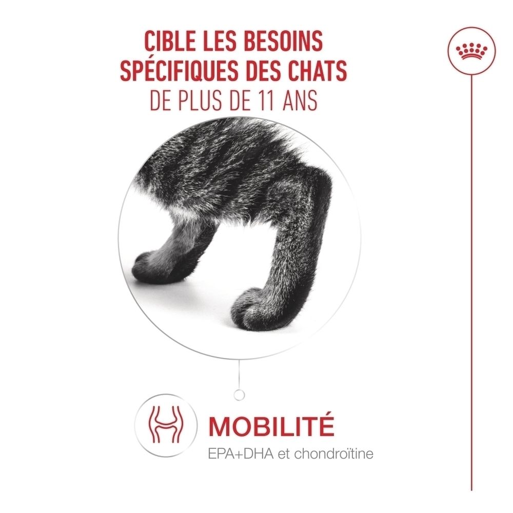 Royal Canin 11+ senior : focus mobilité avec EPA+DHA et chondroïtine.