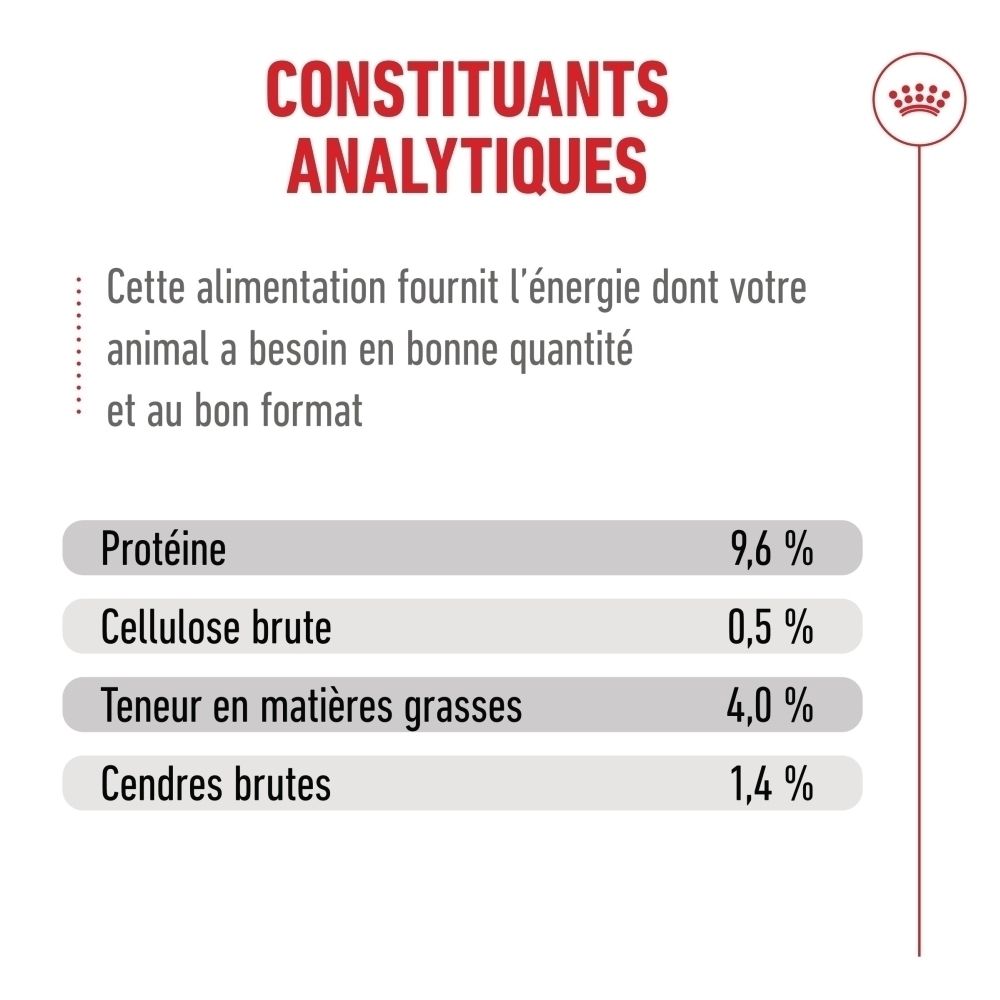 Royal Canin 11+ senior : constituants analytiques, protéines et matières grasses.