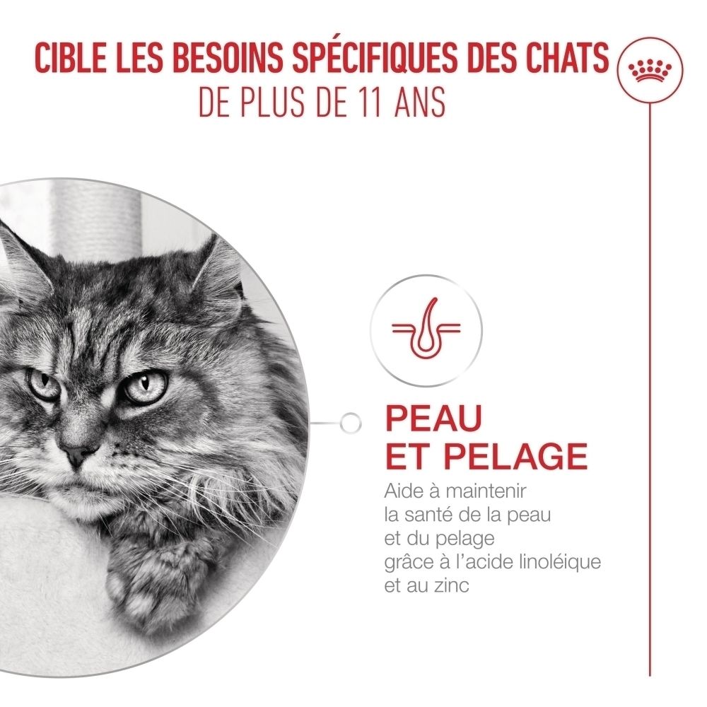 Boîte de Royal Canin FHN Ageing 11+ Mousse pour chats.