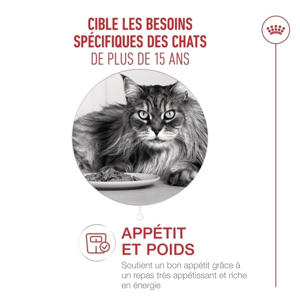 Graphique sur l'alimentation spécifique des chats de plus de 15 ans, avec image de chat et focus sur l'appétit et le poids.